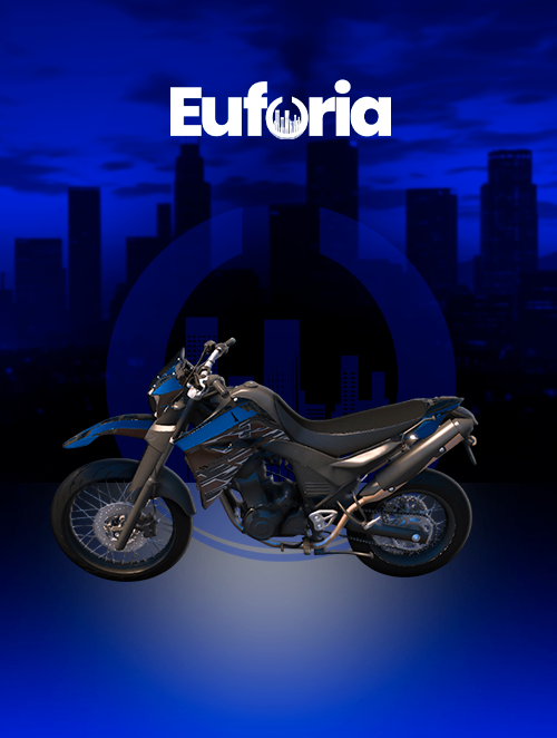 XT 660